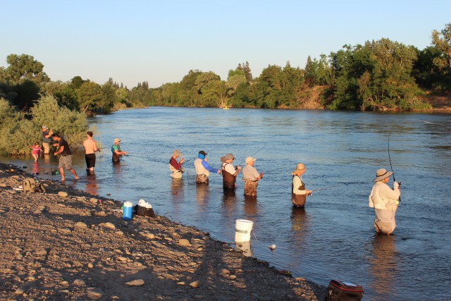 When you go shad fishing, you can expect to see a lot of anglers fishing also at the popular spots.