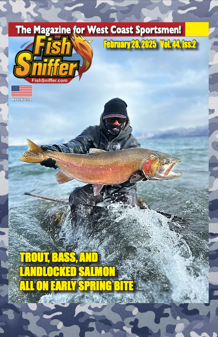 Volume 44, Issue 02 (February 28th, 2025)