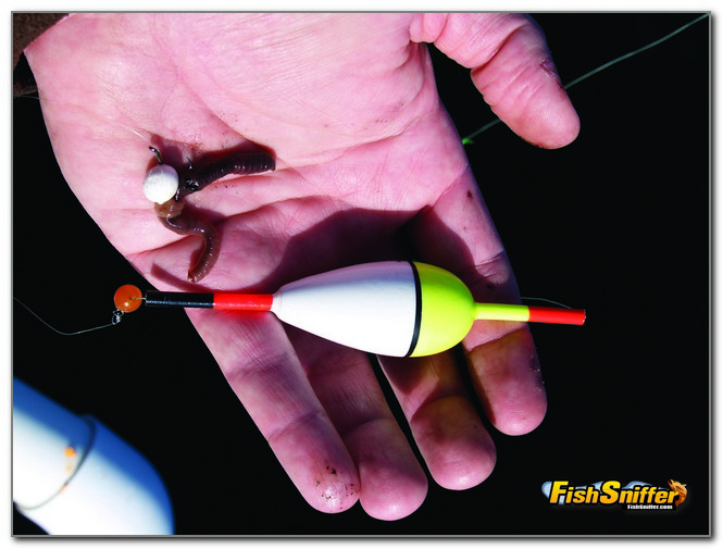 Go To Tactics And Rigs For Fall Trout