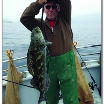 Rockfish And Bonito Fill The Bill For Local Anglers