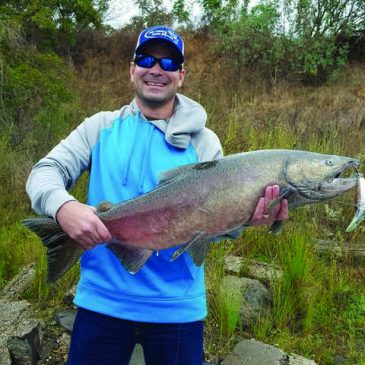 Feather River Hatchery Completes Spawning Salmon