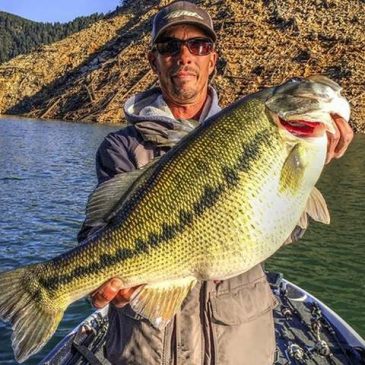 Capture Of 11.4 Lb. Spotted Bass Highlights Bullards Bar Record Fish Possibilities