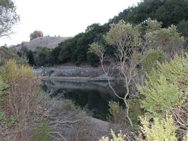  Lake Chabot Offers Big Bass And Trout In East Bay Foothills