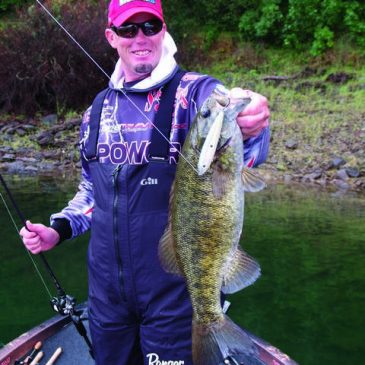 Looking For A Trophy Bass? Give These Baits A Try!