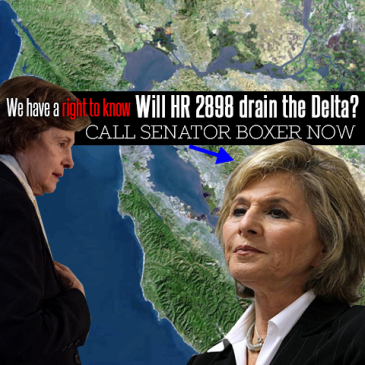 Urge Senator Boxer To Protect SF Bay-Delta From HR 2898