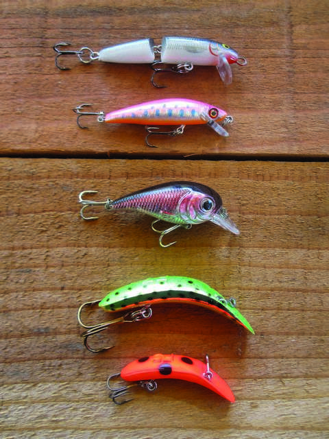 My Special Trout Lure