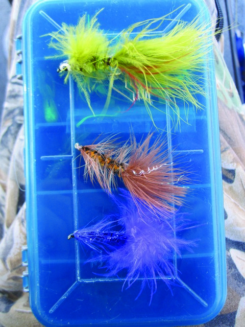 Plastic Worms: The New Frontier Of Trout Trolling 