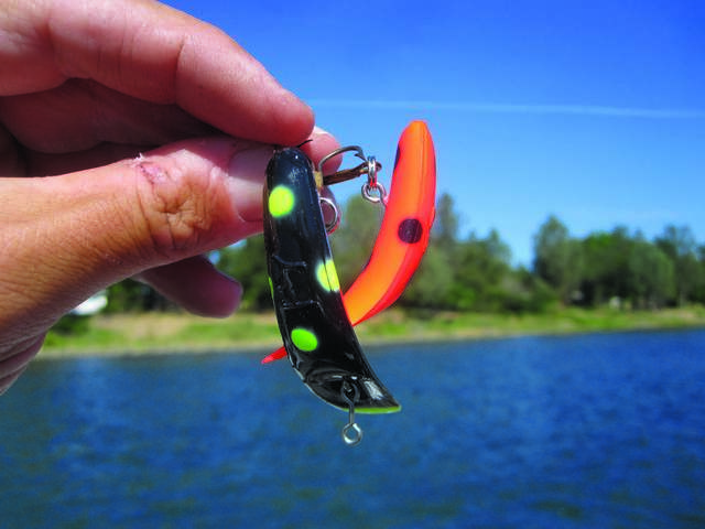 Rainbow trout nails I am SO going to do this for the next fishing