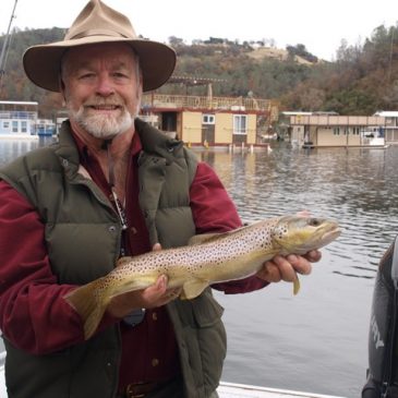 Scattered Brown Trout Highlight Recent Fishing