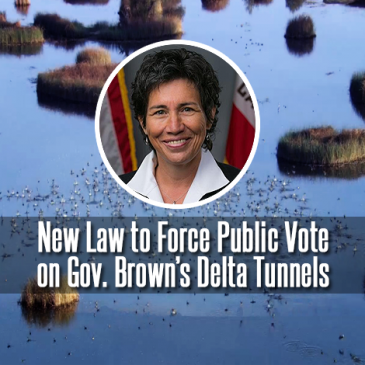 Assemblymember Eggman introduces bill to force vote on Delta Tunnels