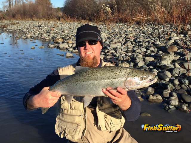 Mad River Steelhead Worms 