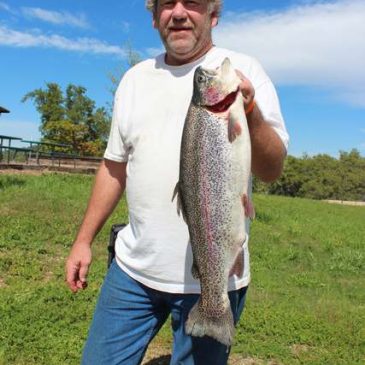 Anglers Weigh In Big Numbers Of Hefty Rainbows At Lake Amador NTAC Event