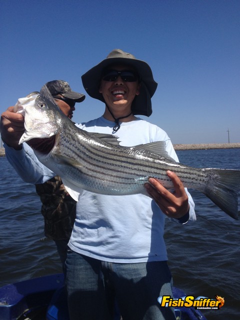 Splash up Some Stripers