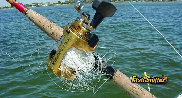 Bank Fishing at San Pablo Reservoir