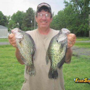 Crappie And Bass Fishing Erupts