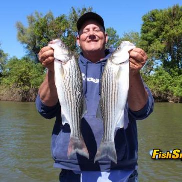 Striper Fishing Hits Spring Stride On Sacramento River