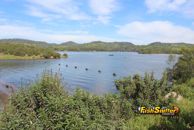 Lake Amador Plans To Begin Raising Trout Again