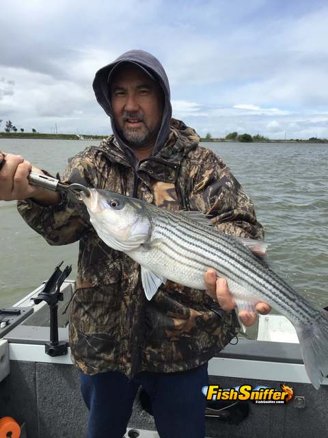 Delta striper fishing heats up on San Joaquin River