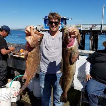Lingcod Are On The Chomp Off Big Sur