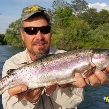 Big Trout Reward Sac River Anglers