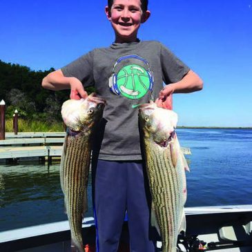Gusty Winds Don’t Slow Down Largemouth And Striper Bites