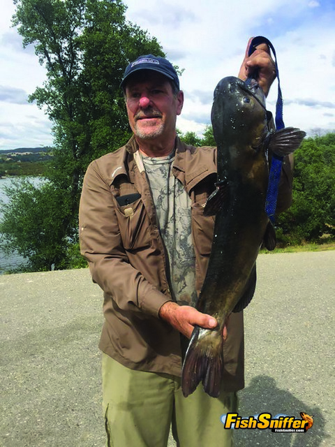John Frassetto was thinking trout when he tossed a ball of PowerBait into Lake Amador this May so he was pretty surprised when he caught sight of the huge 9 lb. catfish.