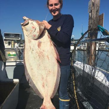 32 Lb. Halibut Tops The Bay Catches