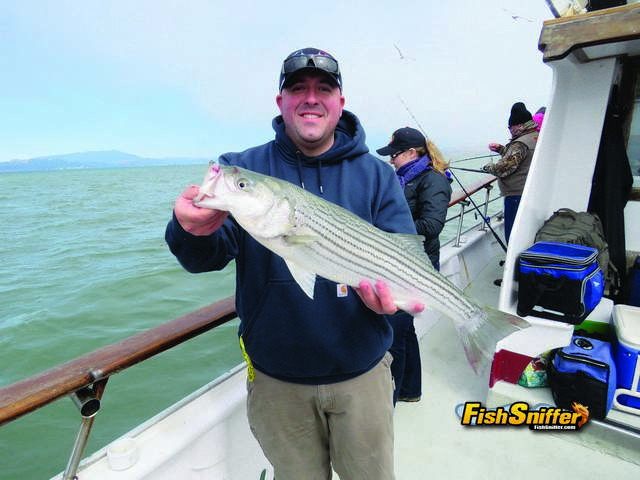 A total of 33 keeper stripers went into the fish box during the Couple’s Challenge including this quality fish.
