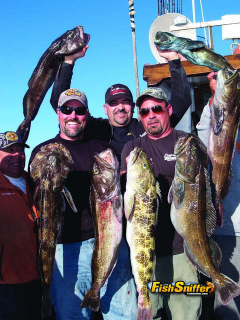 Using Swim Baits to Catch Big California Lingcod