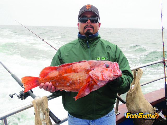 This monster 10 lb. vermilion rockfish was the second biggest fish caught during the July 14 trip aboard the Happy Hooker, earning an Abu Garcia round baitcaster for the angler that caught it.