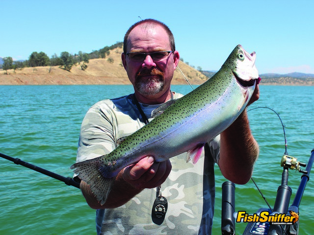 Captain Monte Smith shows off one of the beautiful holdover rainbows that Lake Don Pedro is known for. The fish hit one of Monte’s homemade spoons near the dam.
