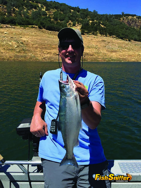 Kevin Smith headed down to New Melones Reservoir hoping to find big kokanee and he got several trout and salmon including this impressive 17.25 inch kokanee.