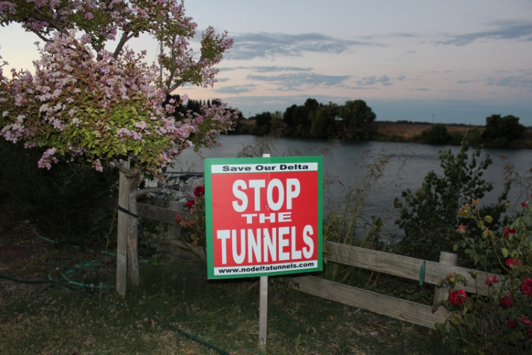 Deep Regulatory Capture: The Links Between Delta Tunnels Plan And MLPA ...