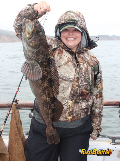 Lacy Fithian hooked up the first lingcod of the trip, a fish in the mid teens, while using a live anchovy on a shrimp fly rig off the Marin County Coast.