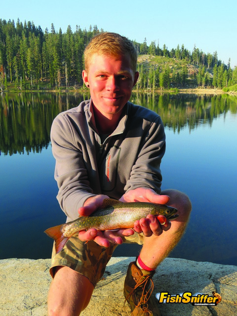 High Sierra Rainbow Trout Fishing 