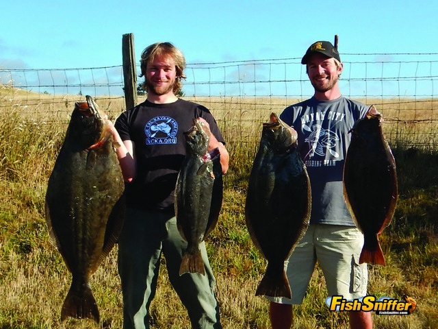 With four awesome California halibut, Matt and Chris were rewarded mightily during the live bait adventure on Humboldt Bay.