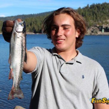 Lake Valley Reservoir Features A Two-For-One Special Of Trout And Catfish