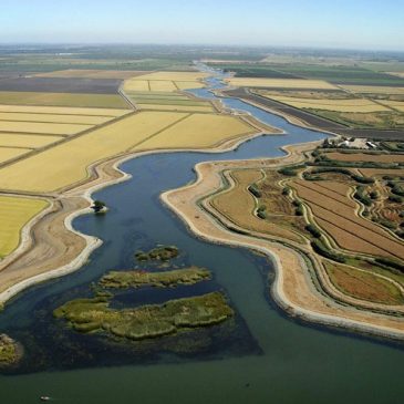 Delta communities submit comments on environmentally unjust California WaterFix