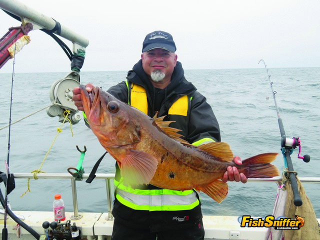 Ray reeled in this massive 12 pound bocaccio rockfish while fishing a live sanddab aboard the Golden Eye 2000 on September 15.