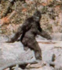 Breaking News: Bigfoot hunting is legal in Texas, but not in California!