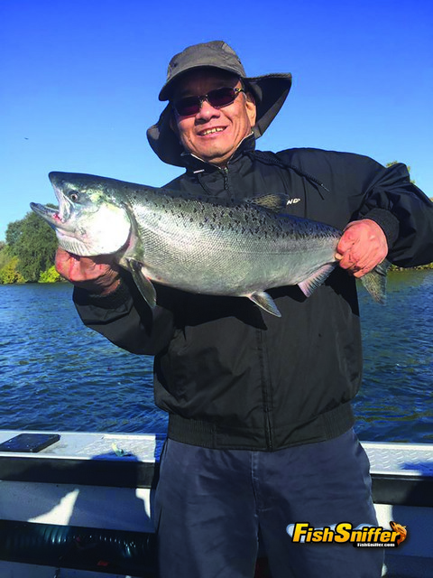 This angler scored big time while trolling the Sacramento River near the California capital with Captain James Netzel on September 30.
