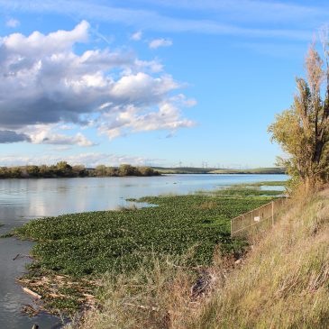 Proposition that threatened Delta Tunnels defeated by a narrow margin
