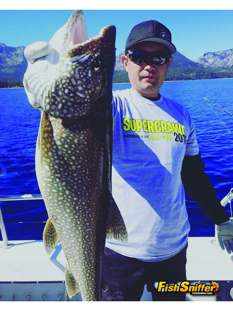 Husky macks like this have been a common catch for anglers fishing with the crew at Tahoe Sportfishing this fall. This big fish inhaled a rigged minnow trolled behind a set of flashers.
