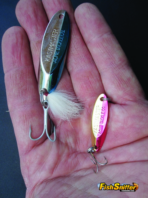 Since trout feed heavily on both threadfin shad and pond smelt spoons are great offerings for both trollers and shore casters. Dense spoons like the Kastmasters shown here are great for shore casters because they sink quickly and can be thrown long distances.