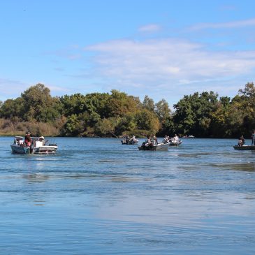 Public Meeting to be Held on Proposed Sacramento River Fishing Closure Alternatives