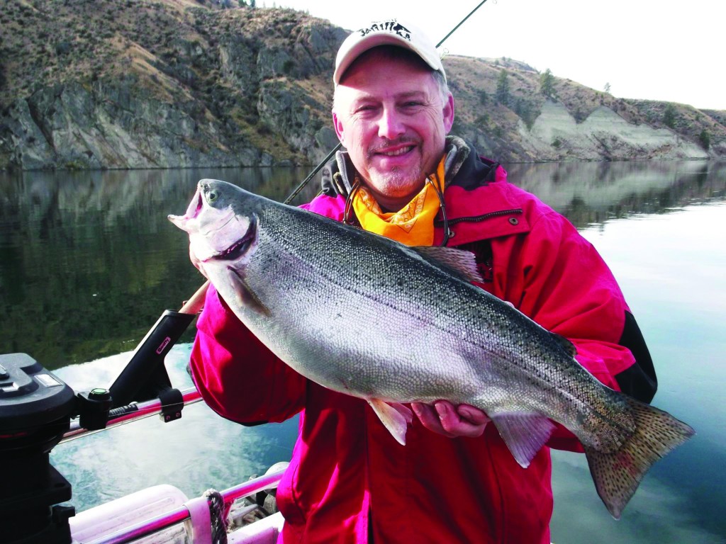 A big smile for a big rainbow! The combination of flash and vibration put off by a Wedding Ring Spinner was just too much for this trout to ignore. Wedding Rings have been producing trout and salmon for West Coast anglers for over 40 years.
