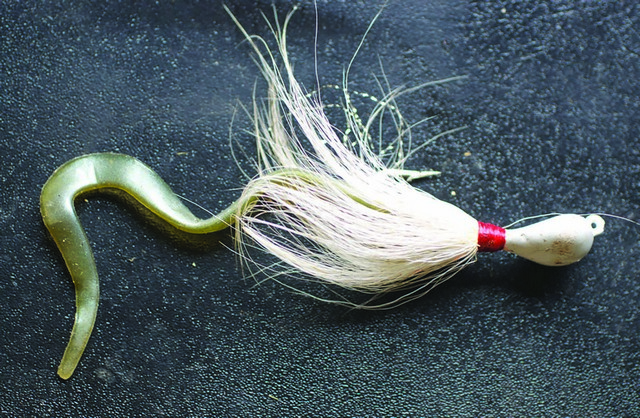 When most folks think about bank fishing for stripers in the Bay they envision tossing lures. For years, white bucktail jigs were the go to bait for Bay Area striper casters. These days bucktails are still highly effective, but anglers are also tossing Kastmasters, soft plastic Fish Trap type swimbaits and state of the art minnow plugs from Yo-Zuri and others.