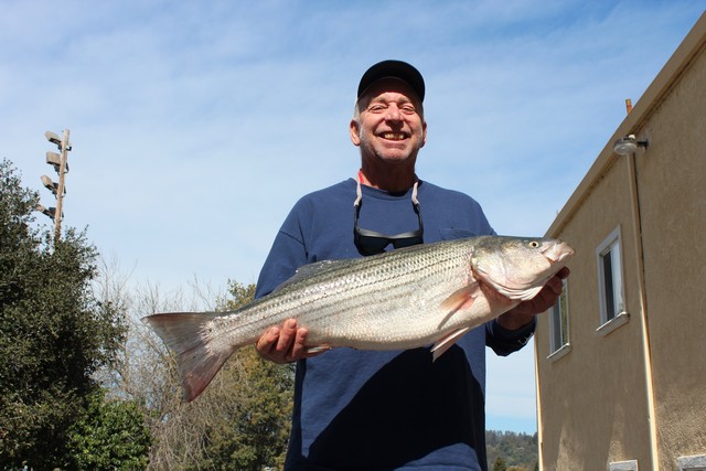 Ron Martin landed this year’s “Most Exotic Catch,” a 17.2 lb. striped bass,, while fishing for perch off Manresa Beach with a plastic grub on 10 lb. test line.    
