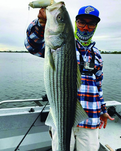 Owner Hooks Pro Angler Kenji Nakagawa landed and release this beautiful striped bass while working a topwater bait in the Delta on March 26.