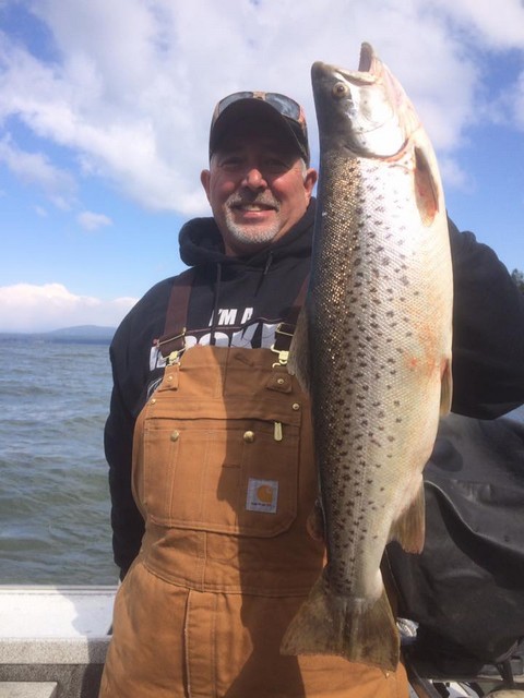 Big brown trout have been on the menu for anglers fishing Lake Almanor with Bryan Roccucci this spring.